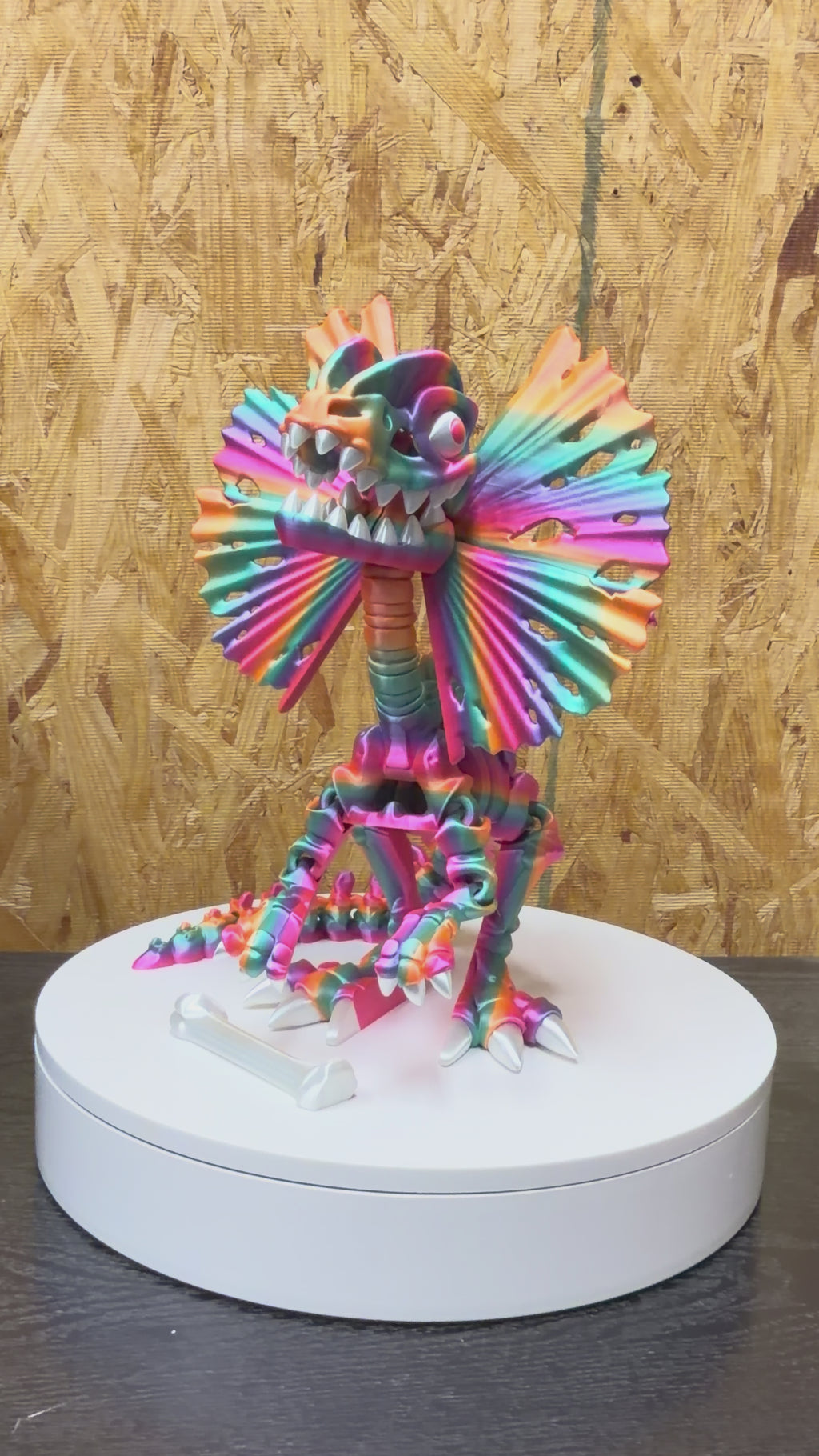 Skeleton Dilophosaurus with Stand